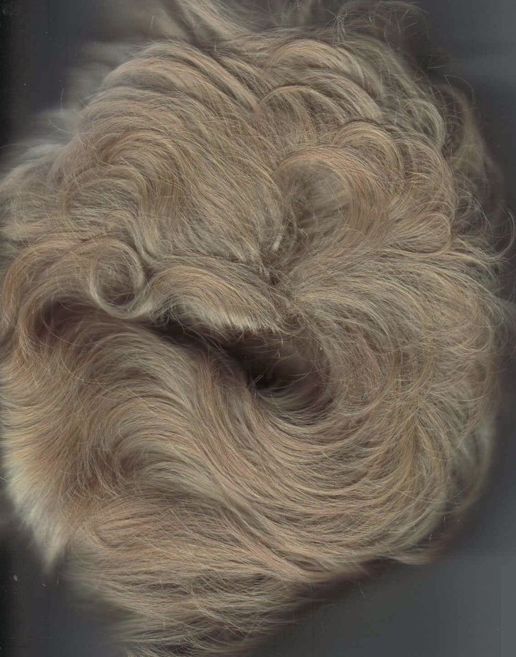 EVA GABOR READY TO WEAR NATURALLY LITE MODACRYLIC WIG VINTAGE 1987 