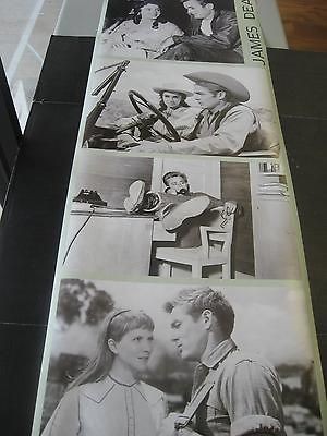 1990 James Dean Liz Taylor collage Verkerke vintage door poster 