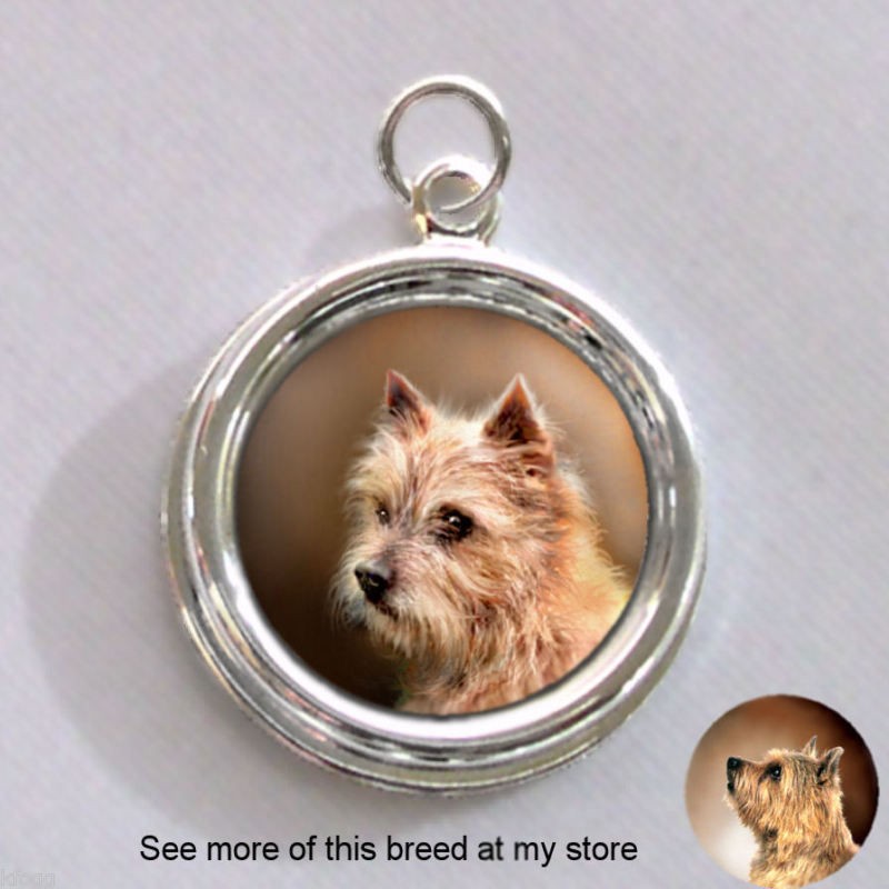 Norwich Terrier DOG Silver CHARM   PENDANT