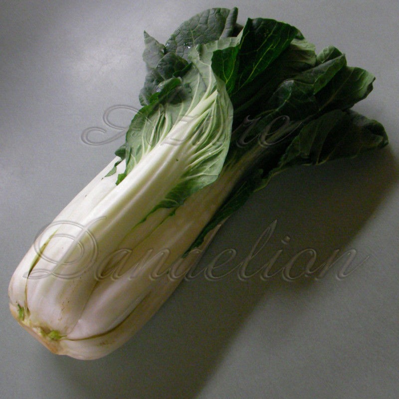 Heirloom Bok Choy Pak Choi Seed AzureDandelion