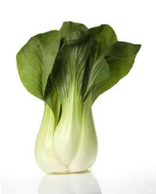 BOK CHOY PAK CHOI CHINESE CABBAGE~Seed​~~~~Stir Fry