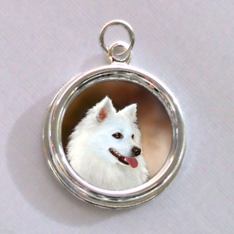 American Eskimo DOG Silver CHARM   PENDANT