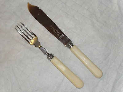 SANDERS & CO SHEFFIELD FISH KNIFE & FORK CELLULOID HANDLE