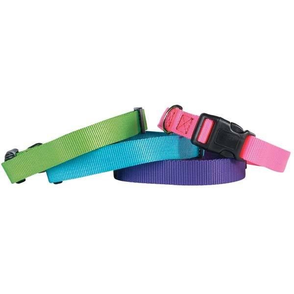 Dog Collar Brite Nylon Adjustable Guardian Gear Dog Collars