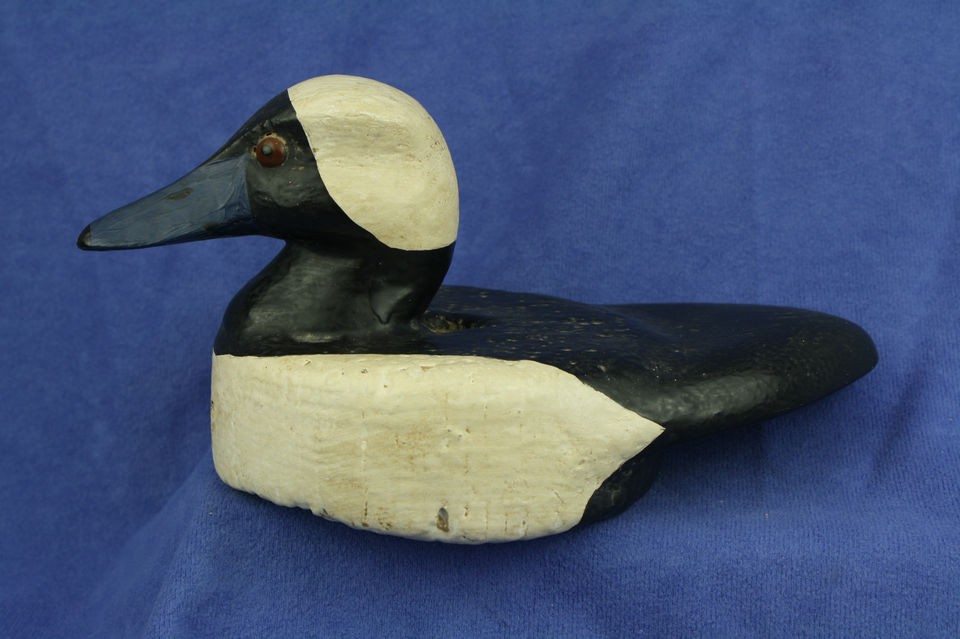 bufflehead decoy in Decoys