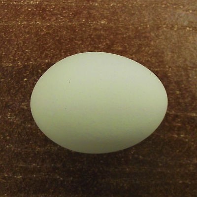 WHITE CERAMIC DUMMY CHICKEN NESTING EGG HATCHING CRAFT