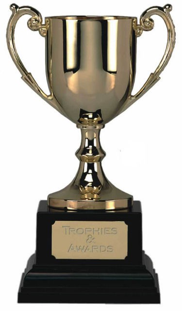 DOG FLOWER SHOW FETE Presentation Cup Trophy Cast Metal Engraved FREE