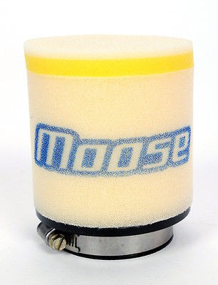 Polaris Trail Blazer 250 AIR FILTER 2001 2006