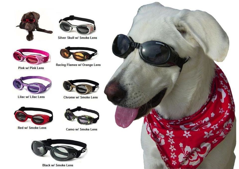 Doggles ILS Dog Goggles UV Sunglasses ALL SIZES Eye Protection Lens 