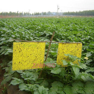   Yellow Sticky Insect Aphid Whitefly Thrip Gnat Fruitfly Leafminer Trap