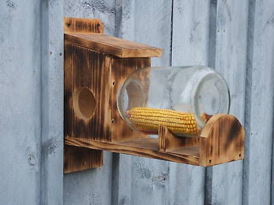 Glass Jar Squirrel Chipmunk Bird Feeder watch them eat fun to watch