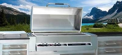 Natural Gas Grills in Barbecues, Grills & Smokers