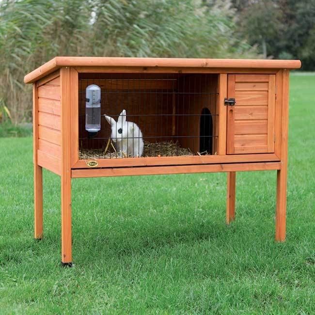 Story Rabbit Hutch (L)   one story, glazed pine, roof opens