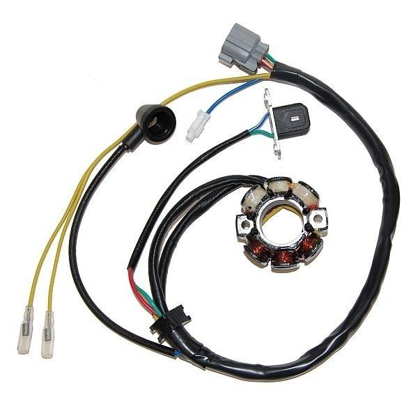 ElectroSport Heavy Duty Lighting Stator Suzuki RMZ250 RMZ 250 2005 