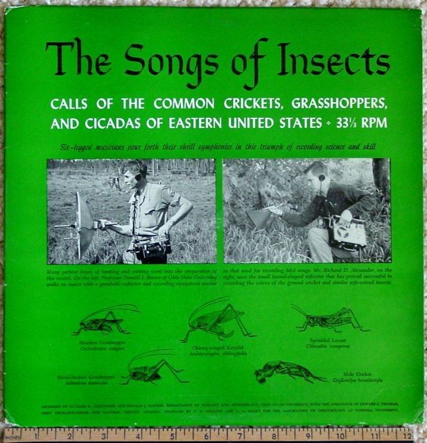 The SONGS of INSECTS Very Rare PHONOGRAPH/Record CORNELL 1950s 