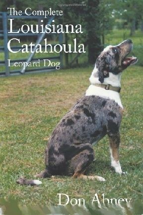 Complete Louisiana Catahoula Leopard Dog Don Abney   New