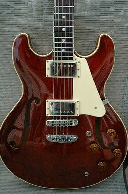 Aria Pro 2 TA 70 ES335 style guitar semi hollow