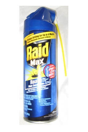 RAID KILLER SPRAY KILLS ROACHES ANTS BEES & BED BUG ON CONTACT NO 