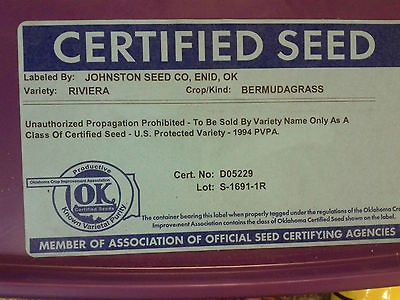 RIVIERA BERMUDA GRASS SEED  Superior Turt Quality 5 LBS 1000 sq ft