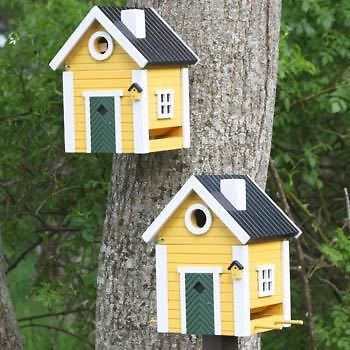   Plus Multiholk Bird House or Bird Feeder   Wall or Pole Mounted