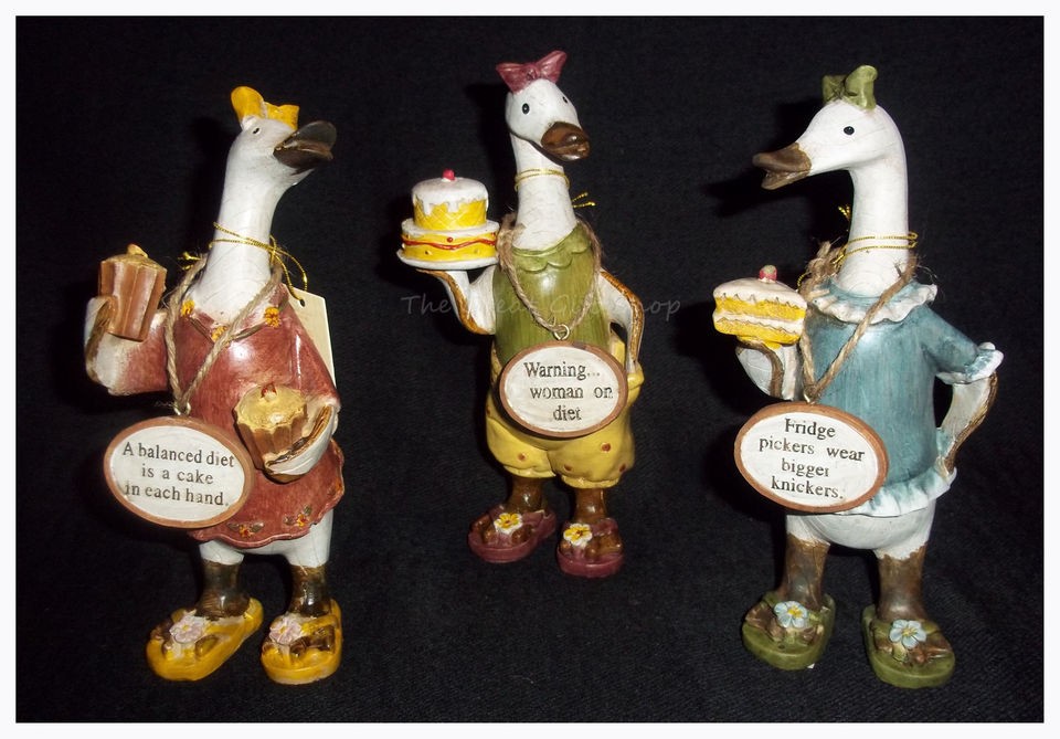 Diet Inspiration Message Ornamental Kitchen Ducks Great Birthday Gift