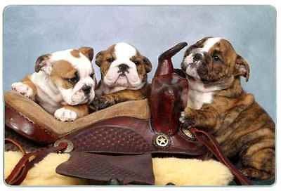 Tempered Glass Cutting Board   English Bulldog Pups (Saddle)