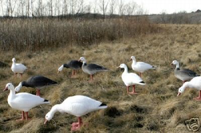 bigfoot decoys in Decoys