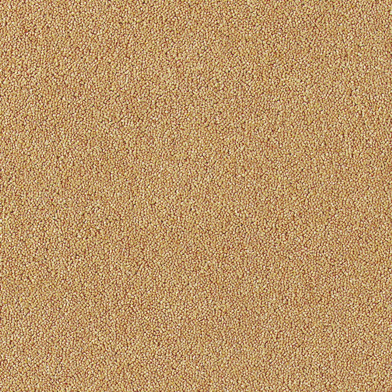 Brintons Bell Twist Carpet Egyptian Sand 3.34m x 0.91m