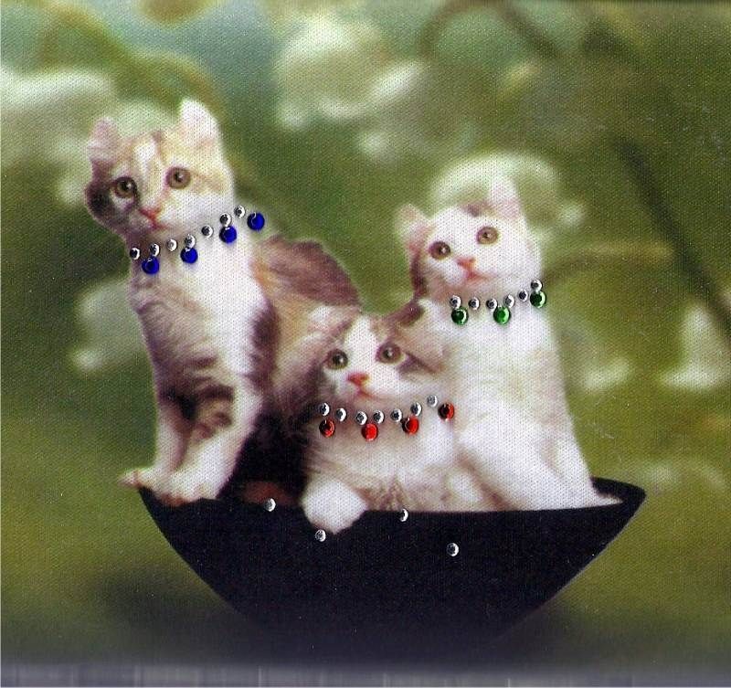   HINGE CLUTCH AMERICAN CURL KITTENS BOWL TRIO BLING CRYSTAL GREEN