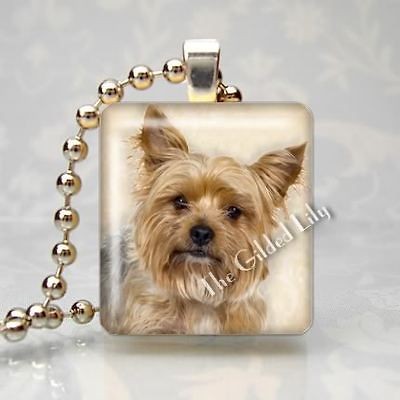   TERRIER DOG BREED YORKIE PUPPY Scrabble Tile Art Pendant Jewelry Charm