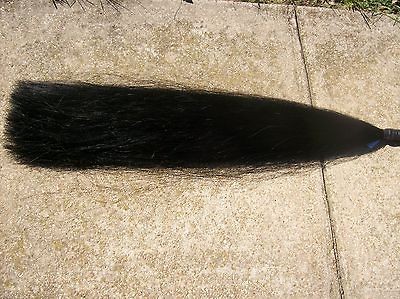 HORSE HAIR TAIL EXTENSION Black 1LB+ 35