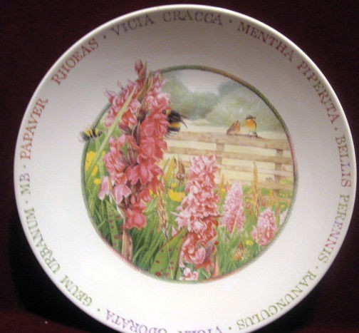   BASTIN WILDFLOWER MEADOW 8 COUPE SALAD PLATE FENCE BIRDS FLOWERS