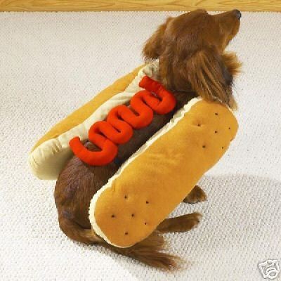 KETCHUP HOT DIGGITY DOG Pet Halloween Costume S M L