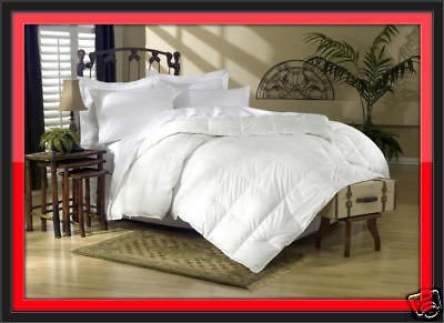 1200TC SIBERIAN GOOSE DOWN Comforter Full / Queen Size ( Model 