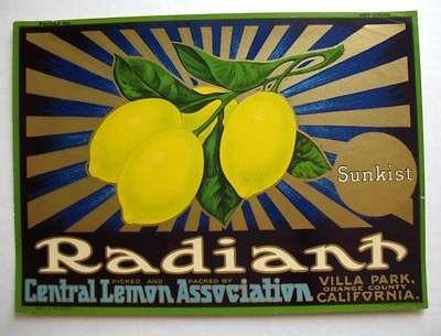 Rare 1920 Deco Sunkist Lemon Crate Label Villa Park