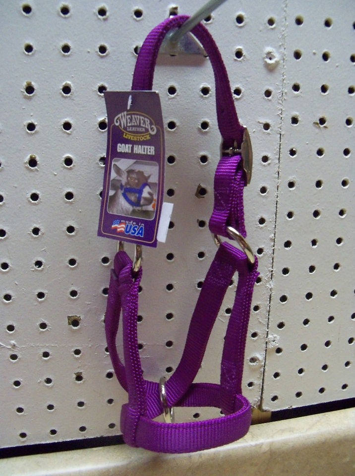 NEW Purple Nylon Goat Or Sheep Livestock Barn Show Halter Weaver 