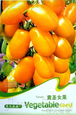 Pack 25+ Vegetable Seeds Orange Tomato Seeds Fruit Potted Hot Fresh 