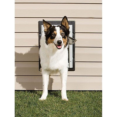 wall pet door in Doors