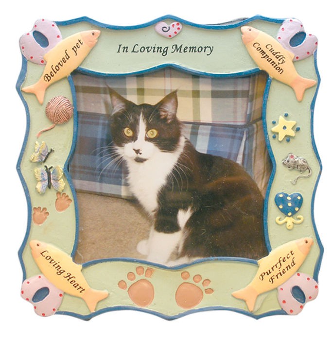 In Loving Memory Cat Photo Frame SHIPS FREIGHT FREE