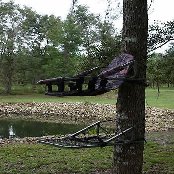 deer stands in Tree Stands