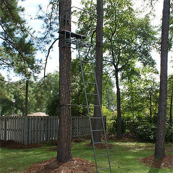 deer stands in Tree Stands