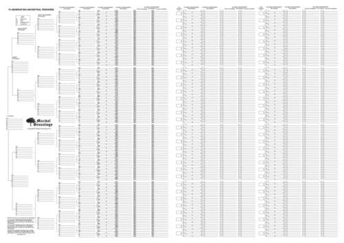 15 Generation Family Tree Chart