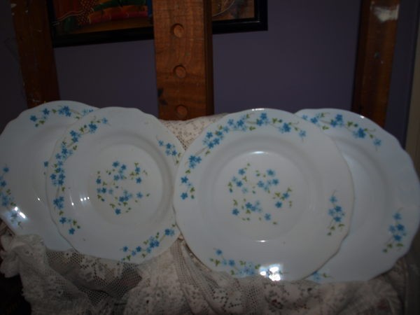 arc arcopal france Veronica Pattern SOUP BOWLS