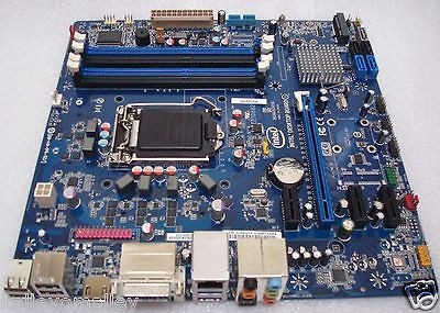 lga1155 motherboard in Motherboards