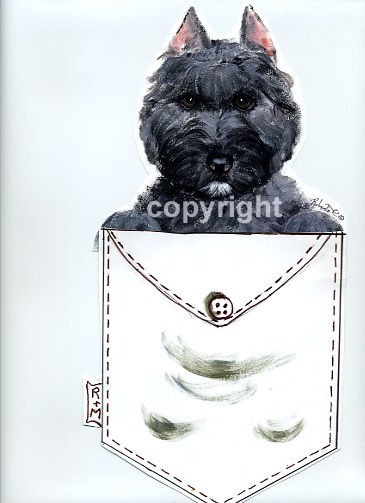 bouvier des flandres puppies