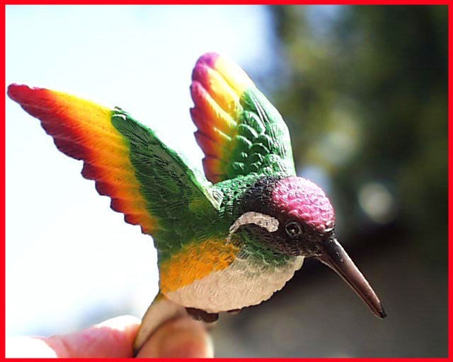 WINDOW MAGNET RAINBOW HUMMINGBIRD multicolor fly thru glass hummer 