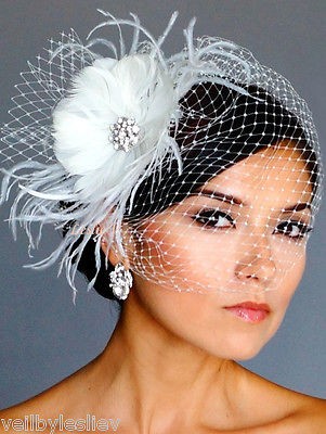 rhinestone bridal veil in Clothing, 