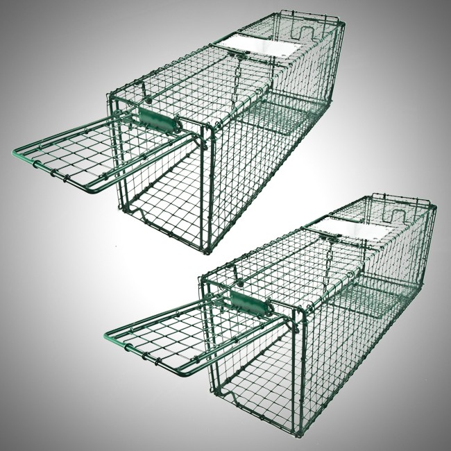   Trap Skunk Racoon Cat 31x9x11 Cage Rabbit Box Wildlife Humane