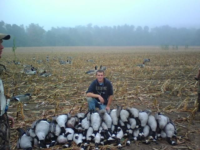 Guided canada goose hunts   over full body decoy spreads   NY