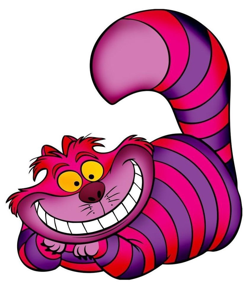 Cheshire Cat # 12   8 x 10 T Shirt Iron On Transfer